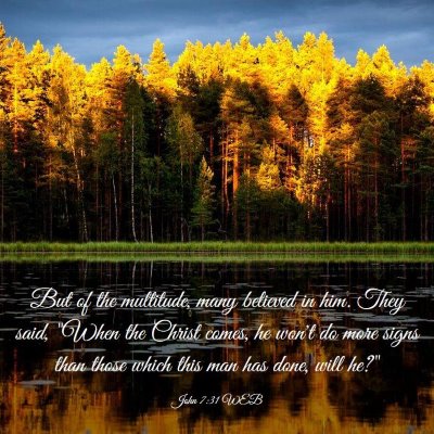 Picture 03 - John 7:31 WEB - But of the multitude, many believed in him. They - Bible Verse Picture