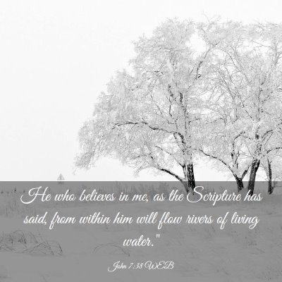 Picture 03 - John 7:38 WEB - He who believes in me, as the Scripture has said, - Bible Verse Picture