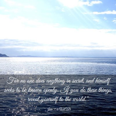 Picture 03 - John 7:4 WEB - For no one does anything in secret, and himself - Bible Verse Picture