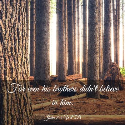 Picture 03 - John 7:5 WEB - For even his brothers didn't believe in - Bible Verse Picture