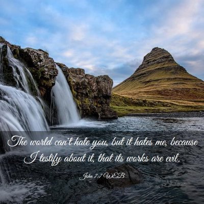 Picture 03 - John 7:7 WEB - The world can't hate you, but it hates me, - Bible Verse Picture