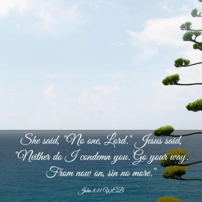 Picture 03 - John 8:11 WEB - She said, 