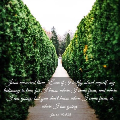 Picture 03 - John 8:14 WEB - Jesus answered them, 