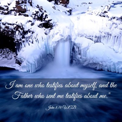 Picture 03 - John 8:18 WEB - I am one who testifies about myself, and the - Bible Verse Picture