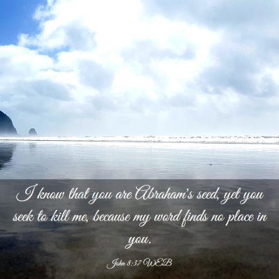 Picture 03 - John 8:37 WEB - I know that you are Abraham's seed, yet you seek - Bible Verse Picture