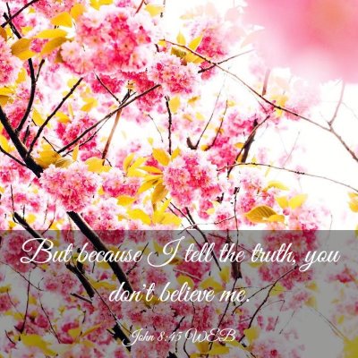 Picture 03 - John 8:45 WEB - But because I tell the truth, you don't believe - Bible Verse Picture