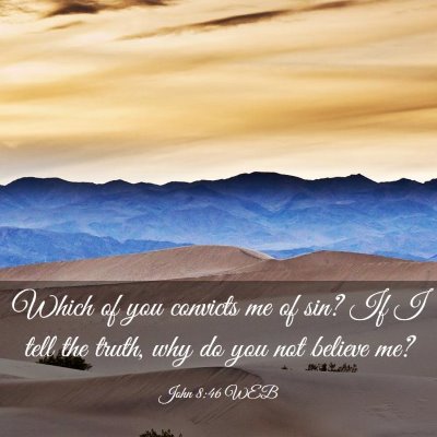 Picture 03 - John 8:46 WEB - Which of you convicts me of sin? If I tell the - Bible Verse Picture