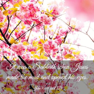 Picture 03 - John 9:14 WEB - It was a Sabbath when Jesus made the mud and - Bible Verse Picture