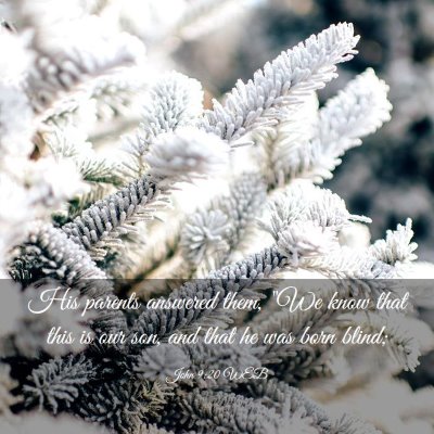 Picture 03 - John 9:20 WEB - His parents answered them, 