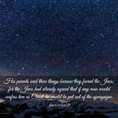 Picture 03 - John 9:22 WEB - His parents said these things because they feared - Bible Verse Picture