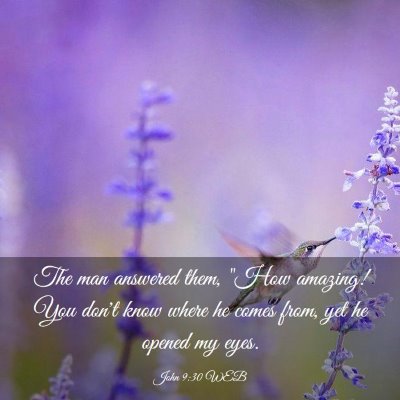 Picture 03 - John 9:30 WEB - The man answered them, 