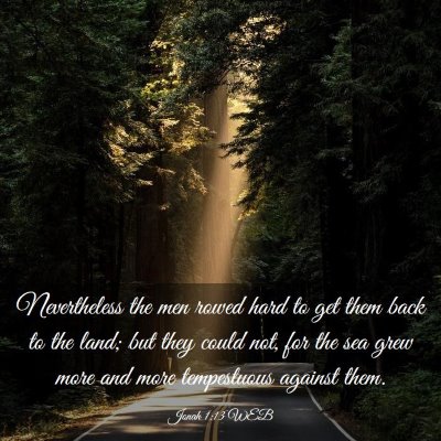Picture 03 - Jonah 1:13 WEB - Nevertheless the men rowed hard to get them back - Bible Verse Picture