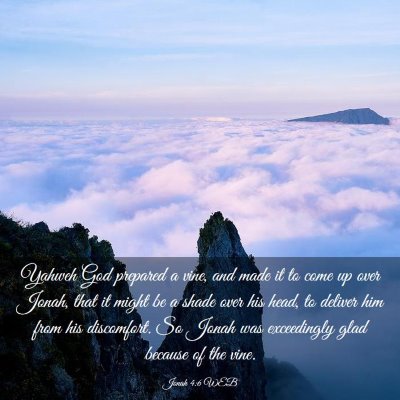 Picture 03 - Jonah 4:6 WEB - Yahweh God prepared a vine, and made it to come - Bible Verse Picture