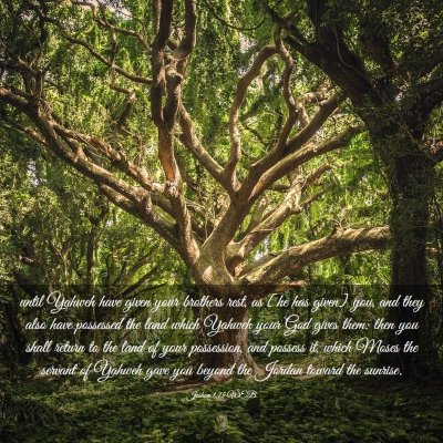 Picture 03 - Joshua 1:15 WEB - until Yahweh have given your brothers rest, as - Bible Verse Picture