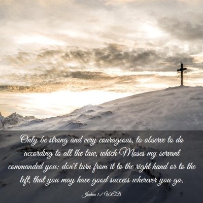 Picture 03 - Joshua 1:7 WEB - Only be strong and very courageous, to observe to - Bible Verse Picture