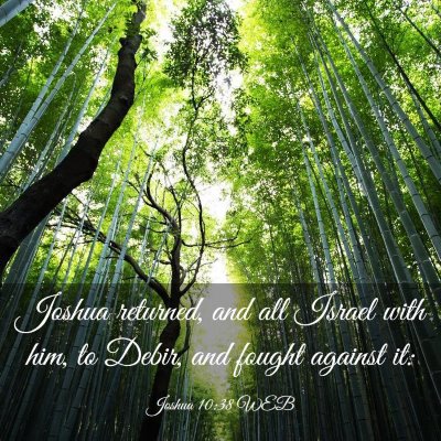 Picture 03 - Joshua 10:38 WEB - Joshua returned, and all Israel with him, to - Bible Verse Picture
