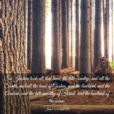 Picture 03 - Joshua 11:16 WEB - So Joshua took all that land, the hill-country, - Bible Verse Picture