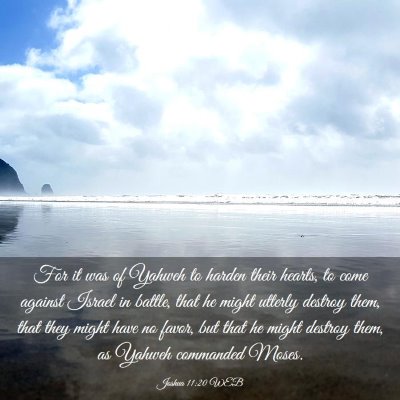 Picture 03 - Joshua 11:20 WEB - For it was of Yahweh to harden their hearts, to - Bible Verse Picture