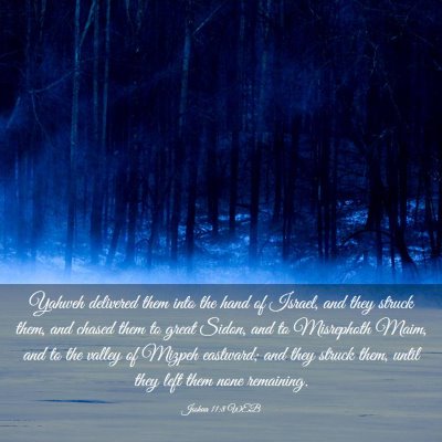 Picture 03 - Joshua 11:8 WEB - Yahweh delivered them into the hand of Israel, - Bible Verse Picture