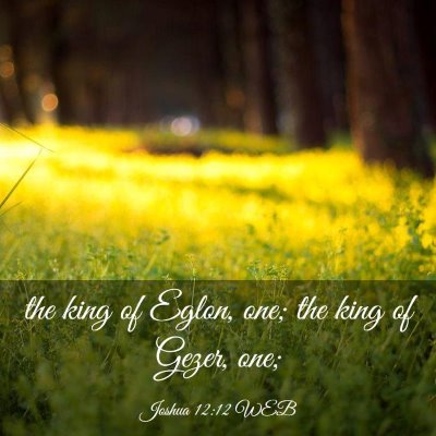 Picture 03 - Joshua 12:12 WEB - the king of Eglon, one; the king of Gezer, - Bible Verse Picture