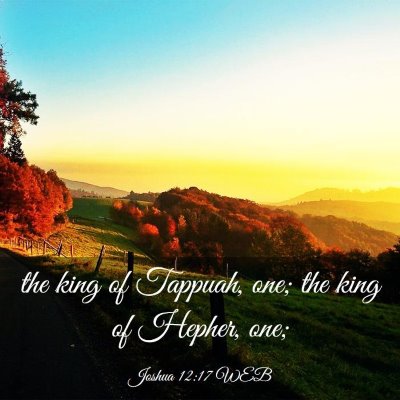 Picture 03 - Joshua 12:17 WEB - the king of Tappuah, one; the king of Hepher, - Bible Verse Picture