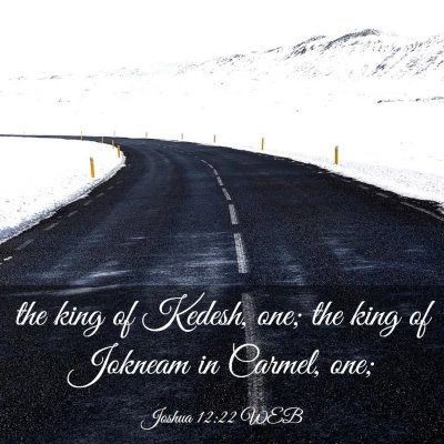 Picture 03 - Joshua 12:22 WEB - the king of Kedesh, one; the king of Jokneam in - Bible Verse Picture