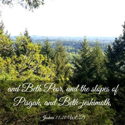 Picture 03 - Joshua 13:20 WEB - and Beth Peor, and the slopes of Pisgah, and - Bible Verse Picture