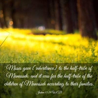 Picture 03 - Joshua 13:29 WEB - Moses gave [inheritance] to the half-tribe of - Bible Verse Picture