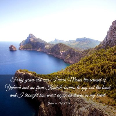 Picture 03 - Joshua 14:7 WEB - Forty years old was I when Moses the servant of - Bible Verse Picture