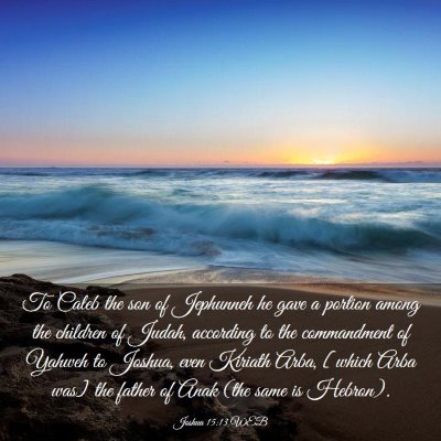 Picture 03 - Joshua 15:13 WEB - To Caleb the son of Jephunneh he gave a portion - Bible Verse Picture
