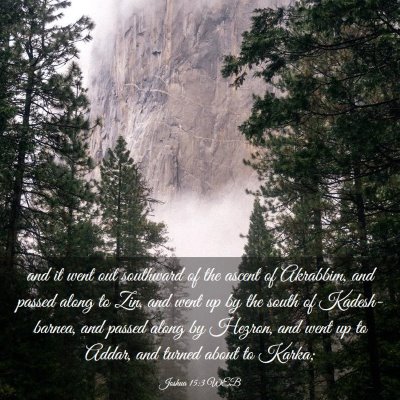 Picture 03 - Joshua 15:3 WEB - and it went out southward of the ascent of - Bible Verse Picture