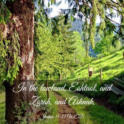 Picture 03 - Joshua 15:33 WEB - In the lowland, Eshtaol, and Zorah, and - Bible Verse Picture