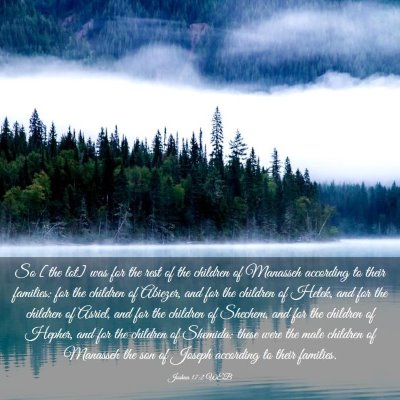 Picture 03 - Joshua 17:2 WEB - So [the lot] was for the rest of the children of - Bible Verse Picture