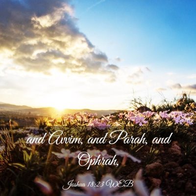 Picture 03 - Joshua 18:23 WEB - and Avvim, and Parah, and - Bible Verse Picture
