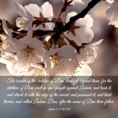 Picture 03 - Joshua 19:47 WEB - The border of the children of Dan went out beyond - Bible Verse Picture