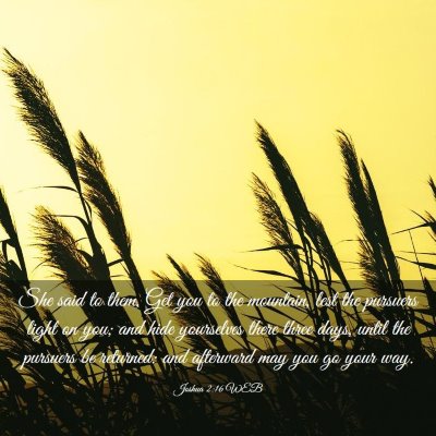 Picture 03 - Joshua 2:16 WEB - She said to them, Get you to the mountain, lest - Bible Verse Picture
