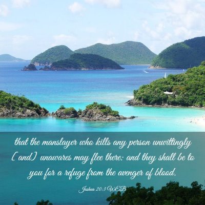 Picture 03 - Joshua 20:3 WEB - that the manslayer who kills any person - Bible Verse Picture