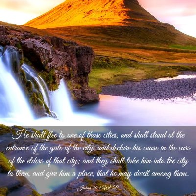 Picture 03 - Joshua 20:4 WEB - He shall flee to one of those cities, and shall - Bible Verse Picture