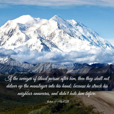 Picture 03 - Joshua 20:5 WEB - If the avenger of blood pursue after him, then - Bible Verse Picture
