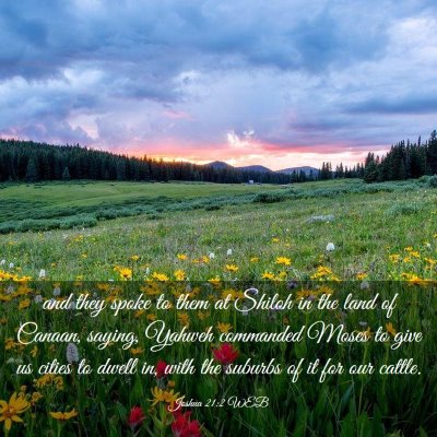 Picture 03 - Joshua 21:2 WEB - and they spoke to them at Shiloh in the land of - Bible Verse Picture