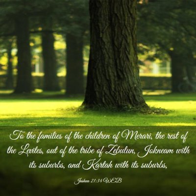 Picture 03 - Joshua 21:34 WEB - To the families of the children of Merari, the - Bible Verse Picture