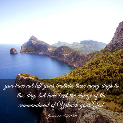 Picture 03 - Joshua 22:3 WEB - you have not left your brothers these many days - Bible Verse Picture
