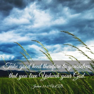 Picture 03 - Joshua 23:11 WEB - Take good heed therefore to yourselves, that you - Bible Verse Picture