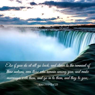 Picture 03 - Joshua 23:12 WEB - Else if you do at all go back, and cleave to the - Bible Verse Picture