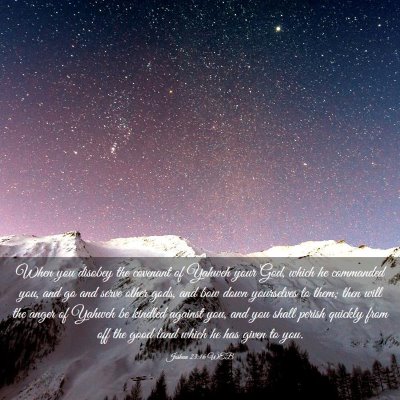 Picture 03 - Joshua 23:16 WEB - When you disobey the covenant of Yahweh your God, - Bible Verse Picture
