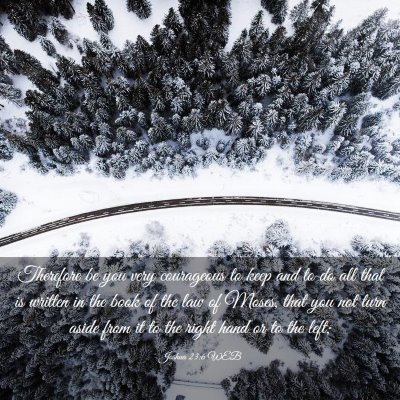 Picture 03 - Joshua 23:6 WEB - Therefore be you very courageous to keep and to - Bible Verse Picture