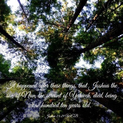 Picture 03 - Joshua 24:29 WEB - It happened after these things, that Joshua the - Bible Verse Picture