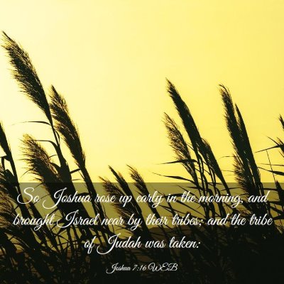Picture 03 - Joshua 7:16 WEB - So Joshua rose up early in the morning, and - Bible Verse Picture