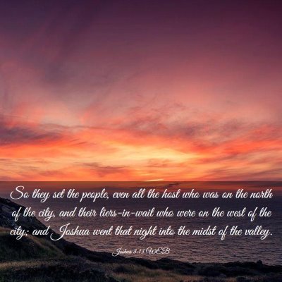 Picture 03 - Joshua 8:13 WEB - So they set the people, even all the host who was - Bible Verse Picture