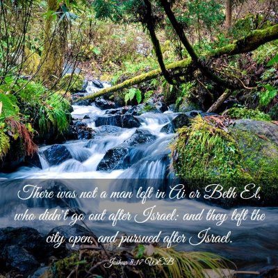 Picture 03 - Joshua 8:17 WEB - There was not a man left in Ai or Beth El, who - Bible Verse Picture